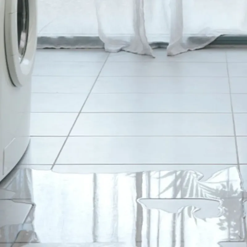 Appliance Leak Cleanup in Ingham County, MI