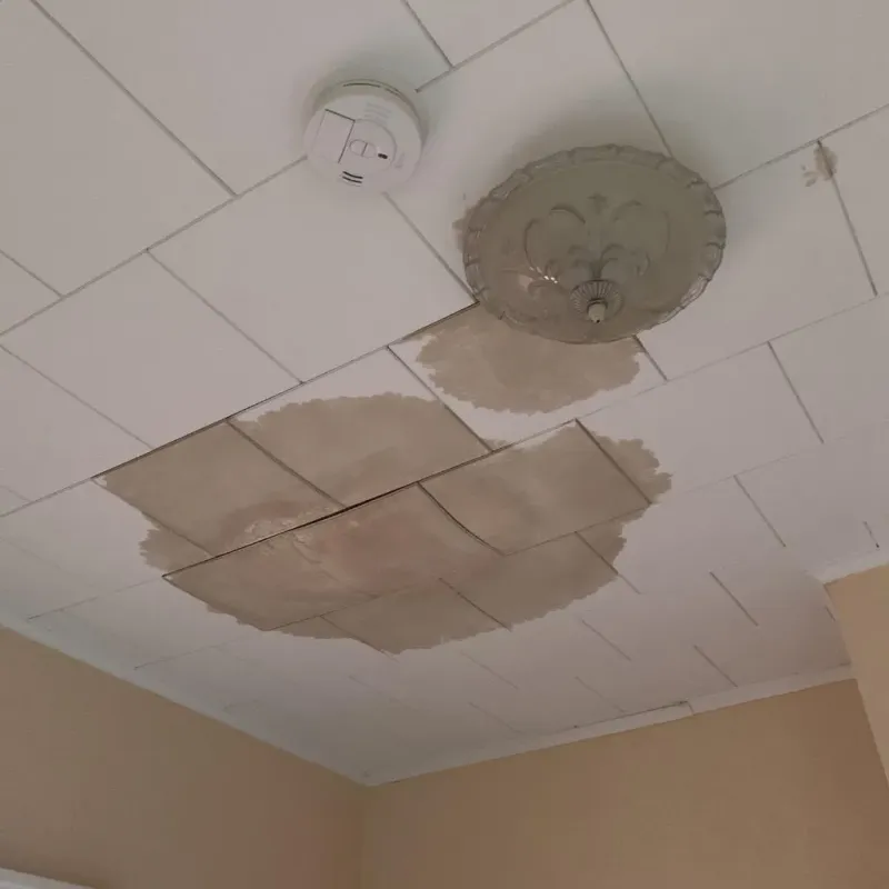 Ceiling Water Damage Repair in Ingham County, MI