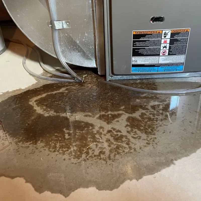 Pipe Burst and Leak Restoration in Ingham County, MI