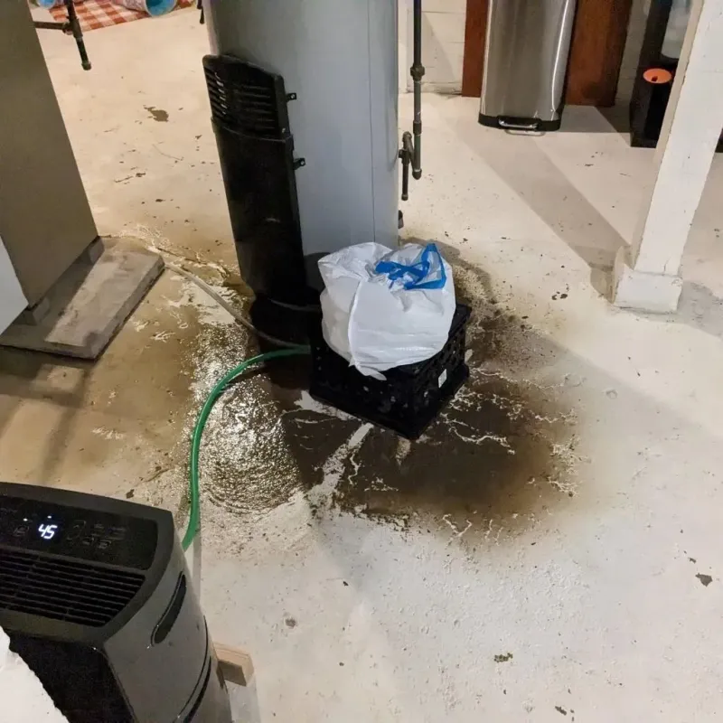 Sewage Backup Cleanup Service in Ingham County, MI